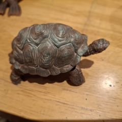 Schleich giant Tortoise