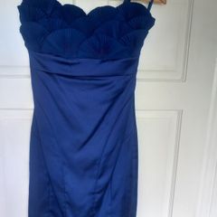 Blue Ted Baker dress