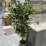 Artificial Plants Image 6