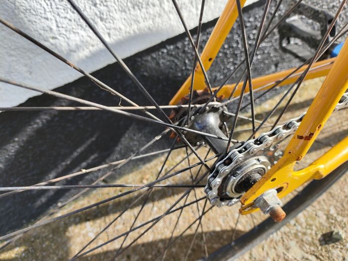 Fixie / Single Speed Bicycle