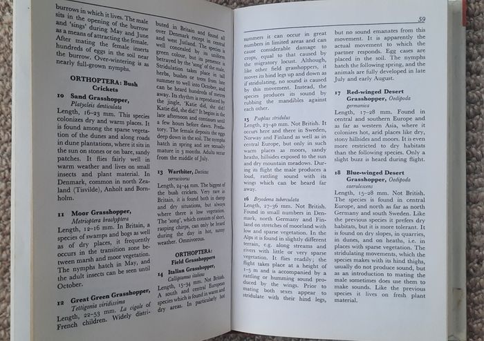 Vintage 'Dune and Moorland Life by Leif Lyneborg