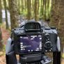 Sony Alpha 7 III + Sigma 24mm F1.4 Image 4
