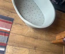 dog plastic bed
