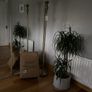 Beautiful floor lamp Image 6