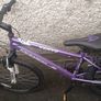 Girls Bike Image 2