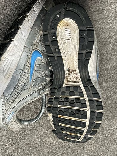 Nike P6000s metallic sliver