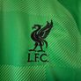 Liverpool Jersey. Official Nike Liverpool FC Goalkeepers Jersey.  Collect In Dublin Or Receive Via Post. Image 7