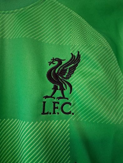 Liverpool Jersey. Official Nike Liverpool FC Goalkeepers Jersey.  Collect In Dublin Or Receive Via Post.
