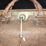 large antique Gladstone bag Image 4