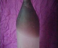 Vase/ Bottle