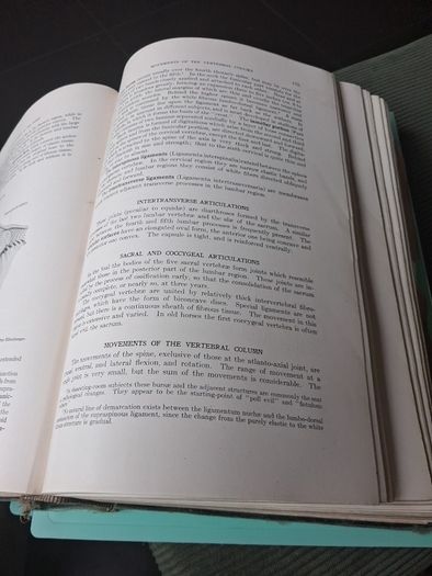A Text Book Of. Veterinary Anatomy