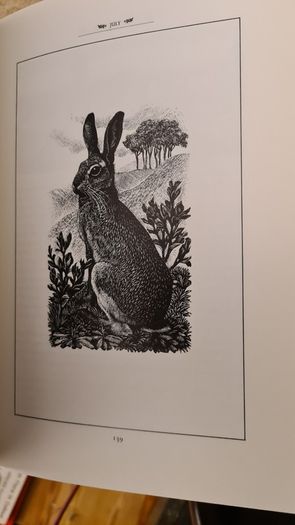 The Peverel Papers By Floral Thompson. A Yearbook Of The Countryside Hardback With Dustjacket In Very Good Condition.
