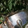 Vintage Silver Plate stuff Image 4