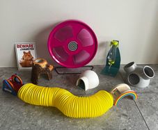 Hamster Playground