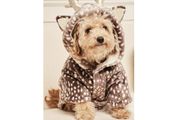Reindeer Dog Fleece