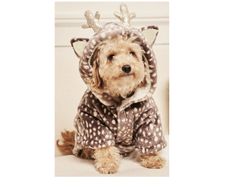 Dog Fleece