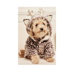 Dog Fleece