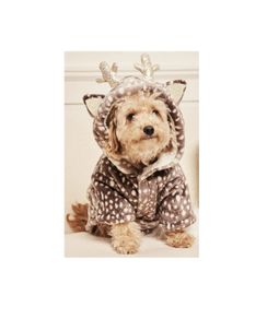 Dog Fleece
