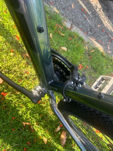 giant roam bike