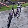 Girls XOXO Style 24 inch City Bike with Basket and Lights Image 3