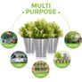 Pack of 12 Galvanised Iron Metal Flower Pots in Weather Resistant Metal for Indoor or Outdoor Use, Ideal for Plants, Herb Collection, Flowers and Shrubs Image 7