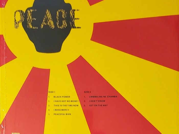 The Peace - Black Power Vinyl Me Please Vinyl