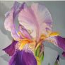 Violet Iris | Oil Painting on canvas Image 8