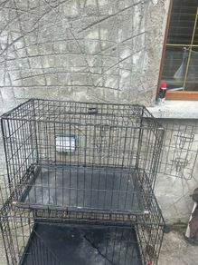 2 dog cages