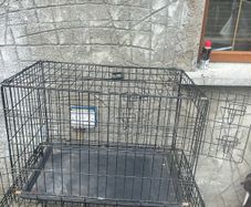 2 dog cages