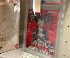 One piece mag promo grade 10