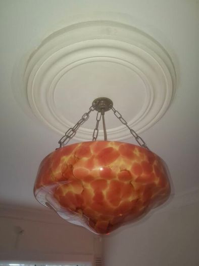 Beautiful Flycatcher light shade