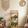 Vintage Rattan 3 Tier Plant Stand Image 2