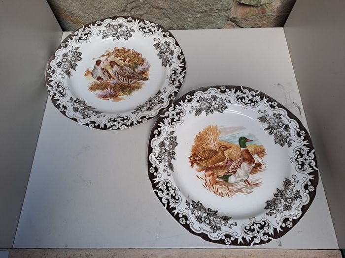 2 Burleigh ducks and fowl plates