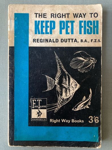 MASSIVE BOOK SALE - Vintage Paperbacks, Irish Authors & Bestsellers - Dublin