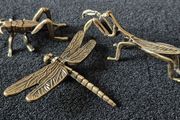 3 brass Insects, Solid brass.