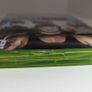 Smackdown Vs Raw 2008 Xbox 360 Image 4