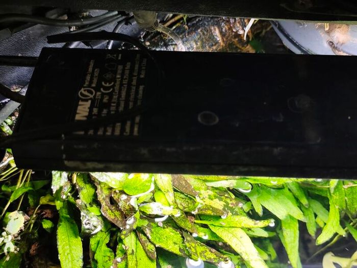 Fluval Venezia 190 Riparium (Going Concern)
