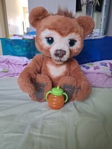teddy bear