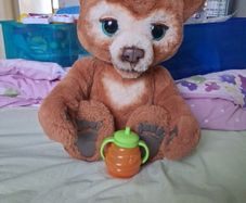 teddy bear