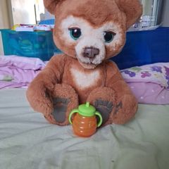 teddy bear