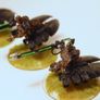 Necron Tomb Spyders & Destroyers Warhammer 40k Image 3