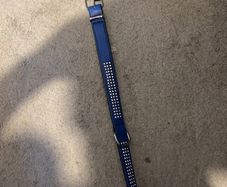 dog collar