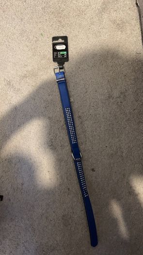 dog collar