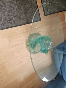 glass table coffee