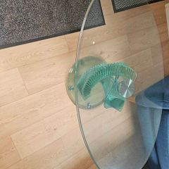 glass coffee table