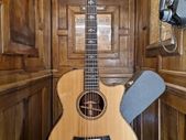 Taylor 914ce 2017