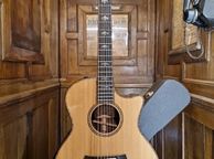 main image for ad Taylor 914ce 2017