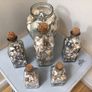 Sea shells in bottles Image 4