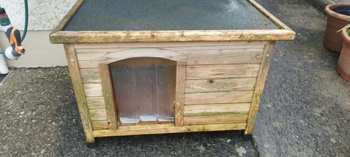 Kennel