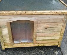 Kennel